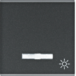 WL6123 Klapka s podsvětlením a symbolem „Světlo”, černá mat